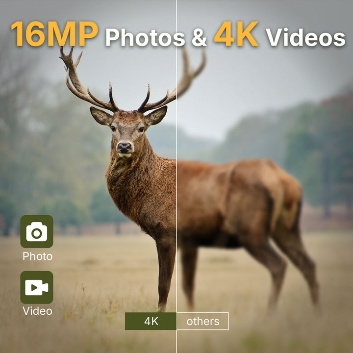 16MP Photos & 4K Videos