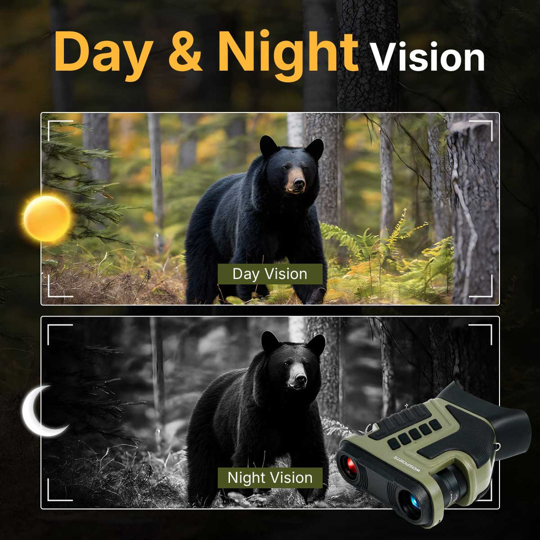 Day & Night Vision