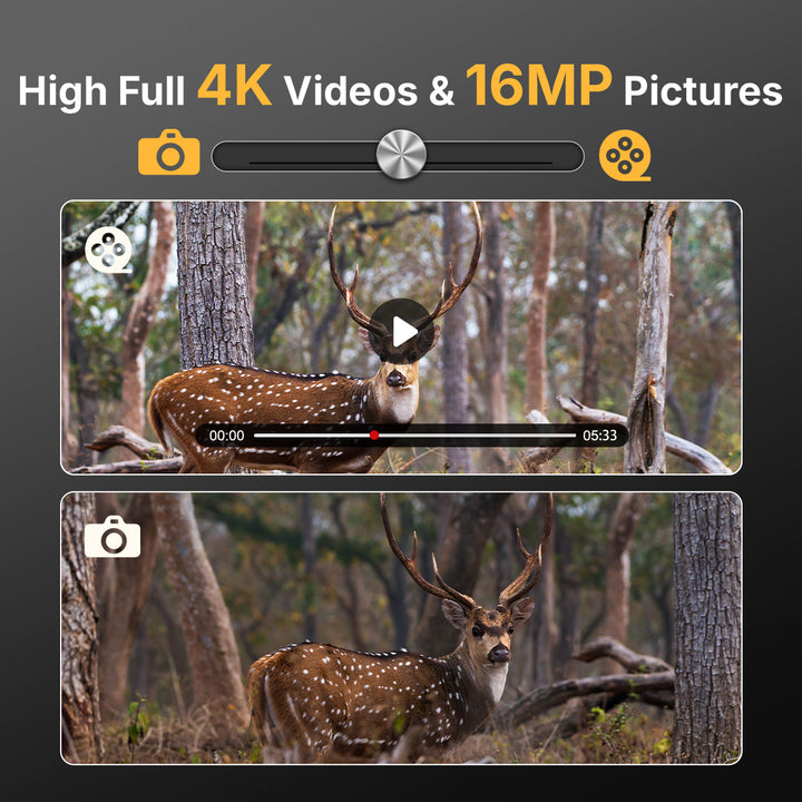 High Full 4K Videos & 16MP Pictures