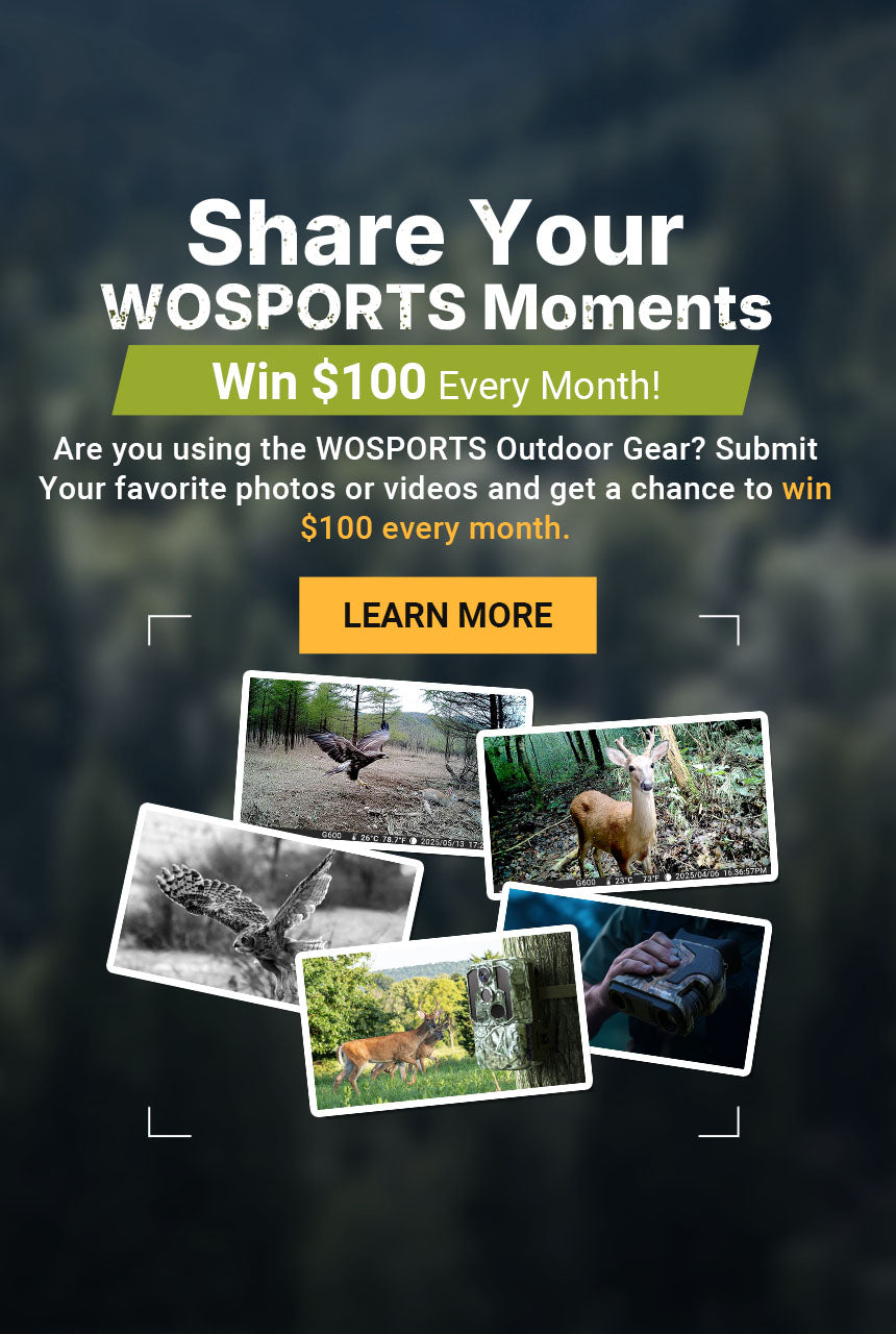 WOSPORTS - Explore Reality, Capture Surprises