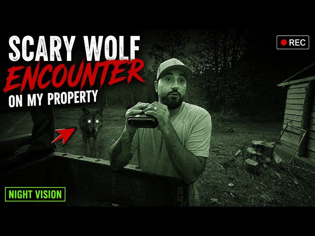 SCARY WOLF ENCOUNTER on MY PROPERTY USING WOSPORTS NIGHT VISION BINOCULARS