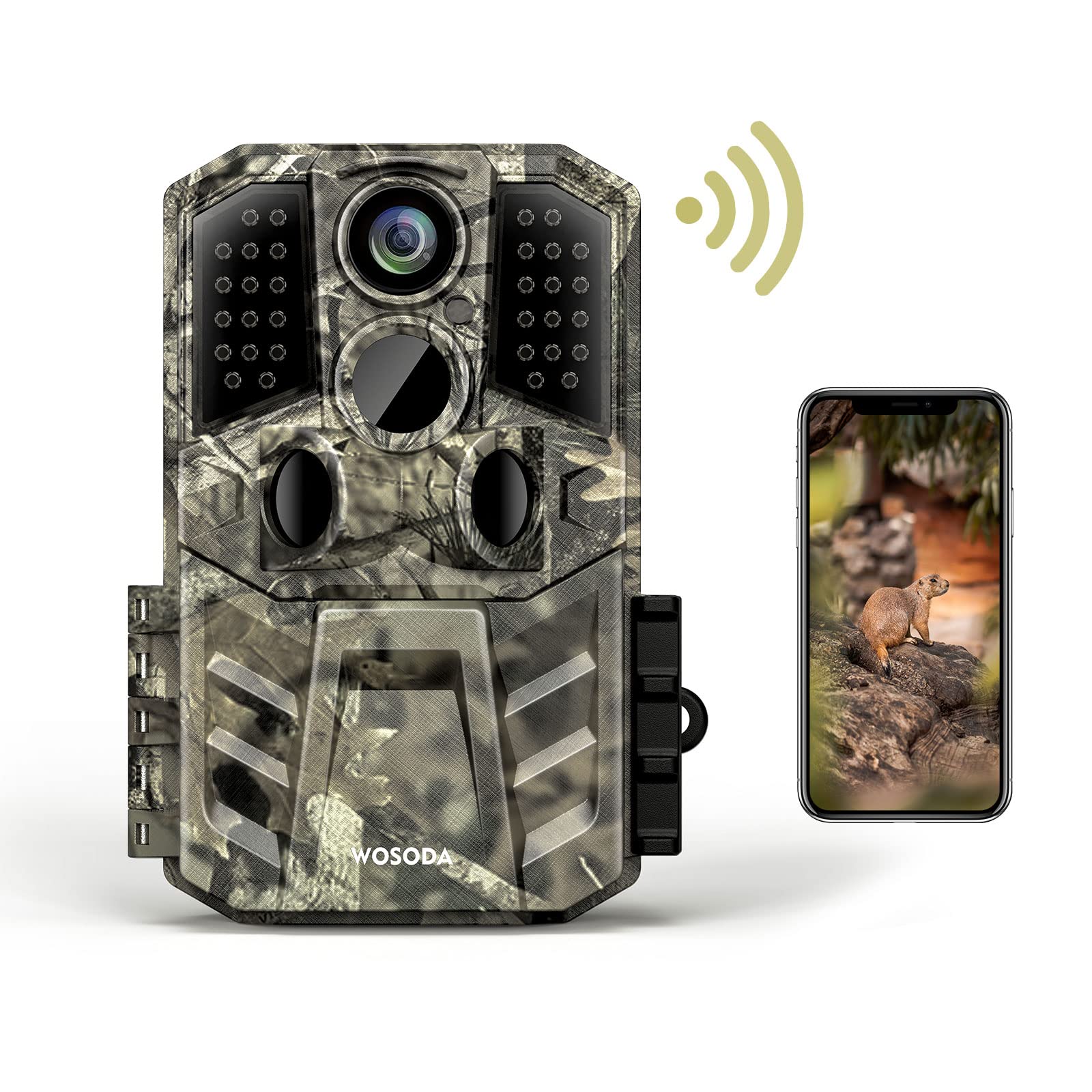 Deer Hunting Cameras